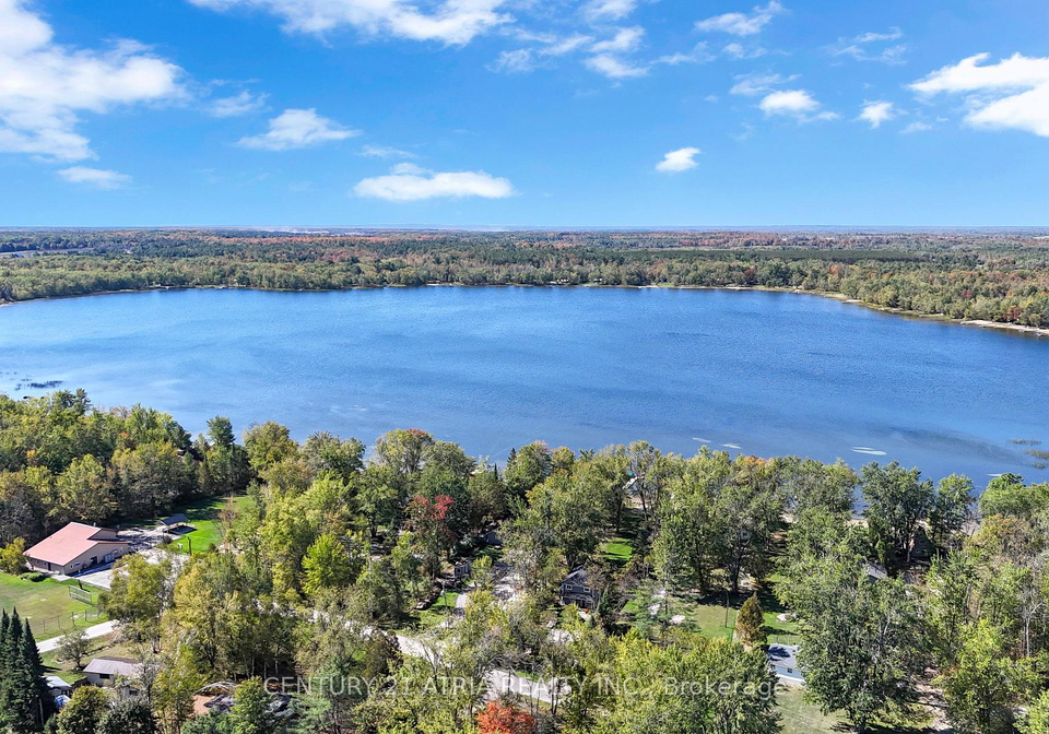 14-young-street-kawartha-lakes-ontario-x12445807