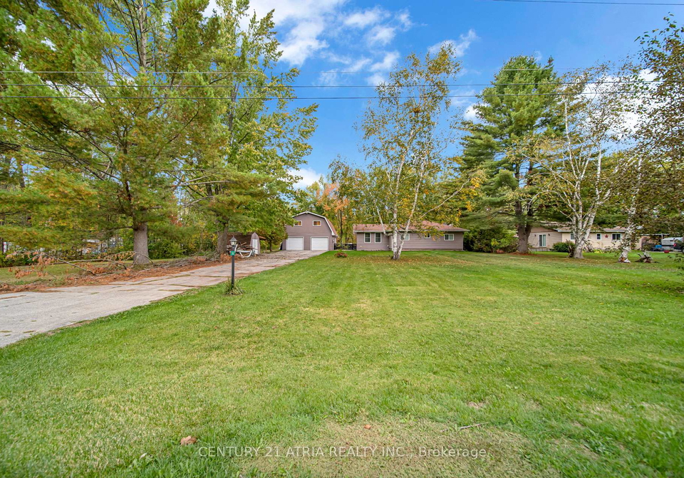 14-young-street-kawartha-lakes-ontario-x12445807