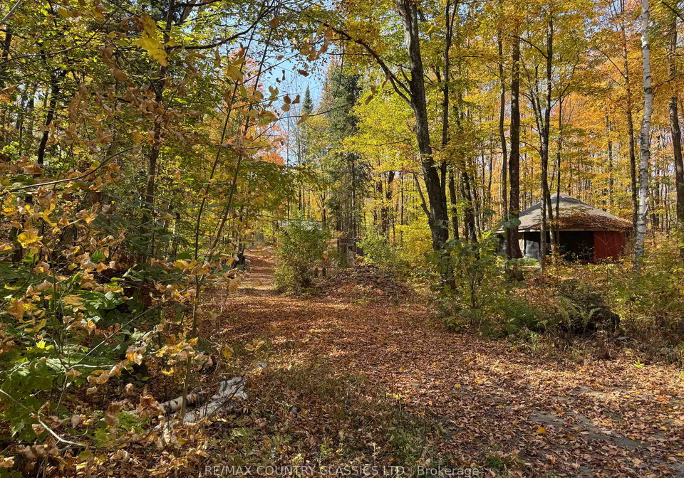 102-caroline-court-faraday-ontario-x12446839