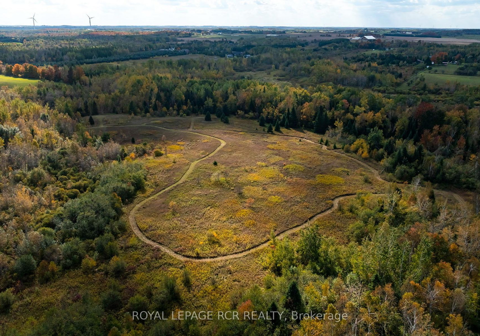 595130-blind-line-mono-ontario-x12450300