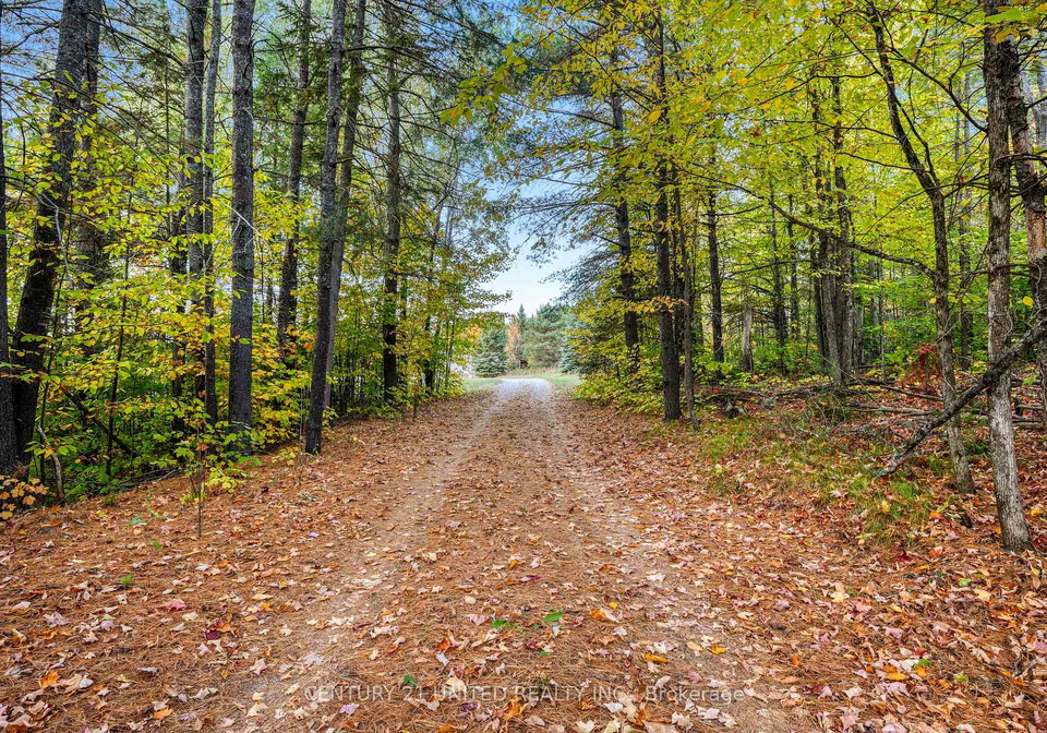 31-mc-lean-road-hastings-highlands-ontario-x12451624