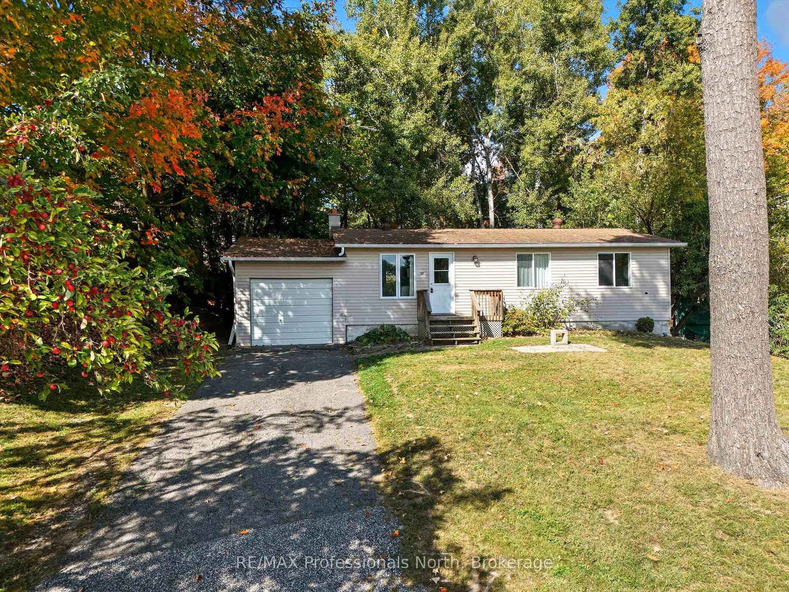 182-holditch-street-bracebridge-ontario-x12451758