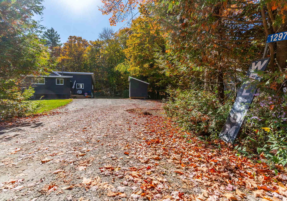 1297-hamilton-road-minden-hills-ontario-x12451867