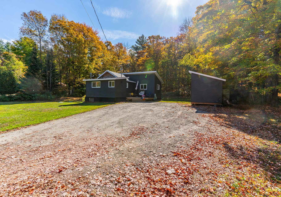 1297-hamilton-road-minden-hills-ontario-x12451867