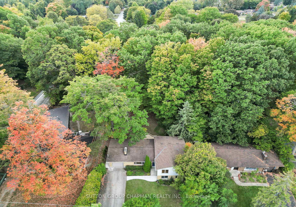 462-oak-park-drive-london-north-ontario-x12453926