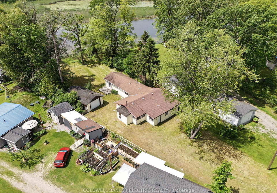 251-river-road-trent-hills-ontario-x12454918