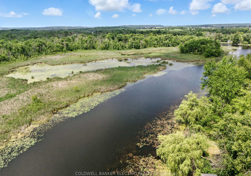 251-river-road-trent-hills-ontario-x12454918