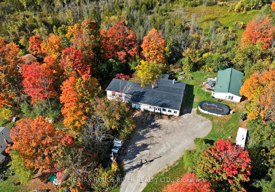122-county-road-4-e-douro-dummer-ontario-x12456644