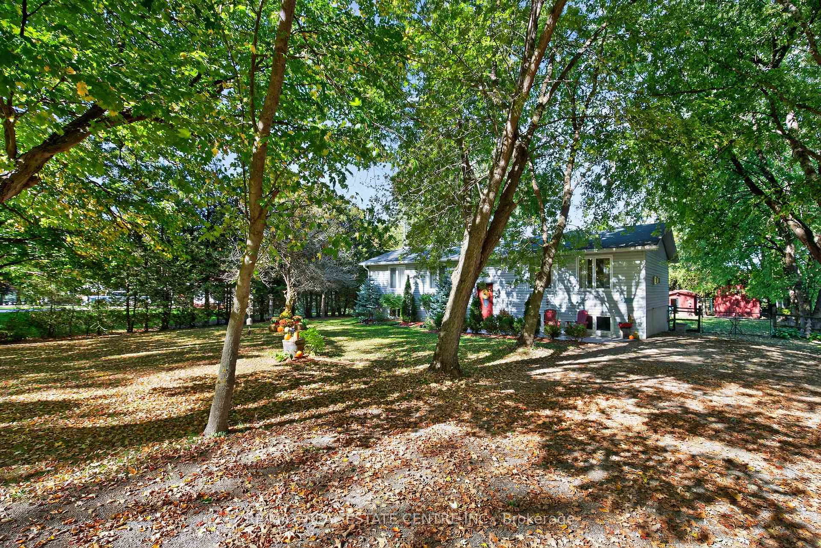 8424-6-line-wellington-north-ontario-x12457296
