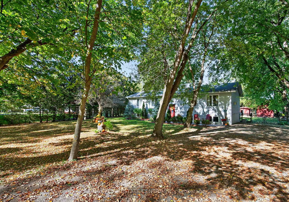 8424-6-line-wellington-north-ontario-x12457296