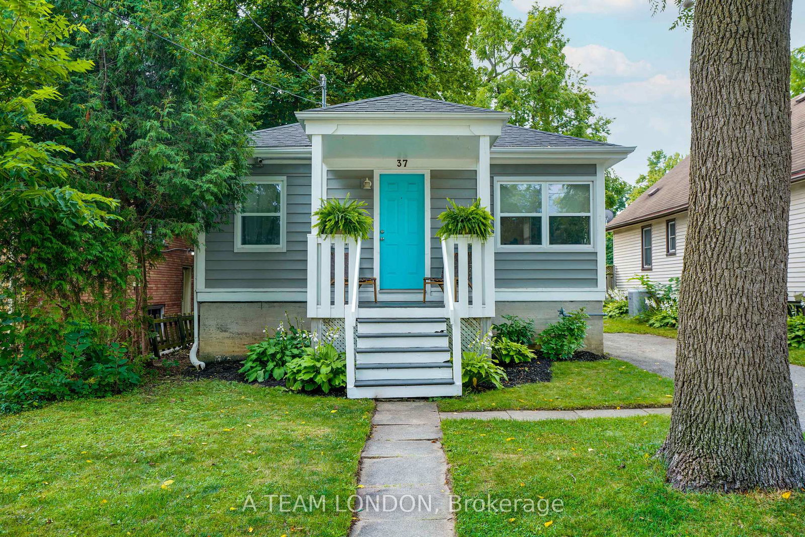 37-mcclary-avenue-london-south-ontario-x12459779