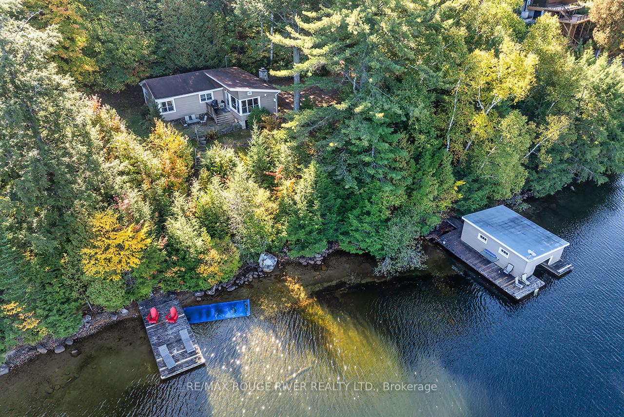 5031-muskoka-road-117-highway-lake-of-bays-ontario-x12461722