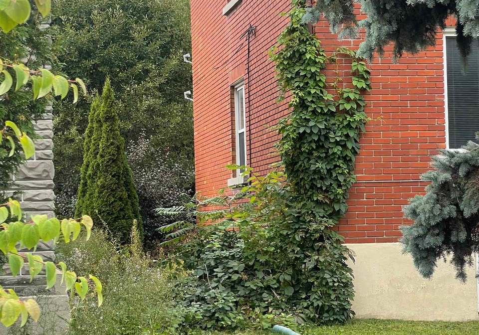 298-churchill-avenue-ottawa-ontario-x12462464