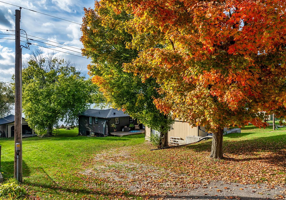 119-oakdene-crescent-kawartha-lakes-ontario-x12462740