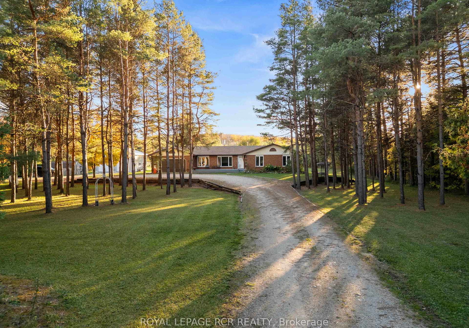 736242-west-back-line-chatsworth-ontario-x12466181