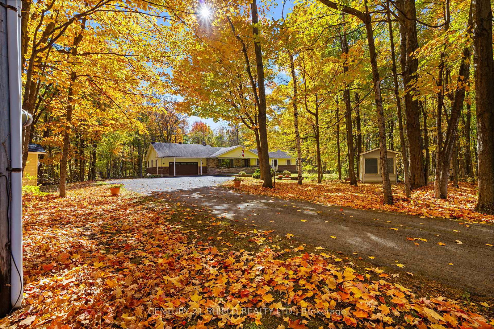 19602-caber-road-south-glengarry-ontario-x12467420