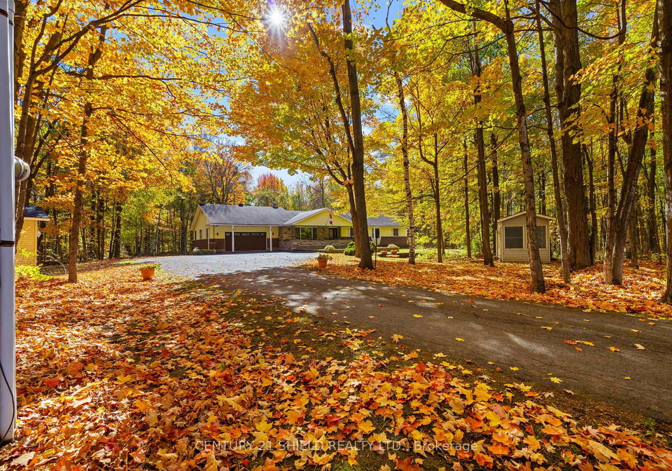 19602-caber-road-south-glengarry-ontario-x12467420
