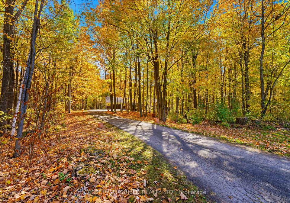 19602-caber-road-south-glengarry-ontario-x12467420