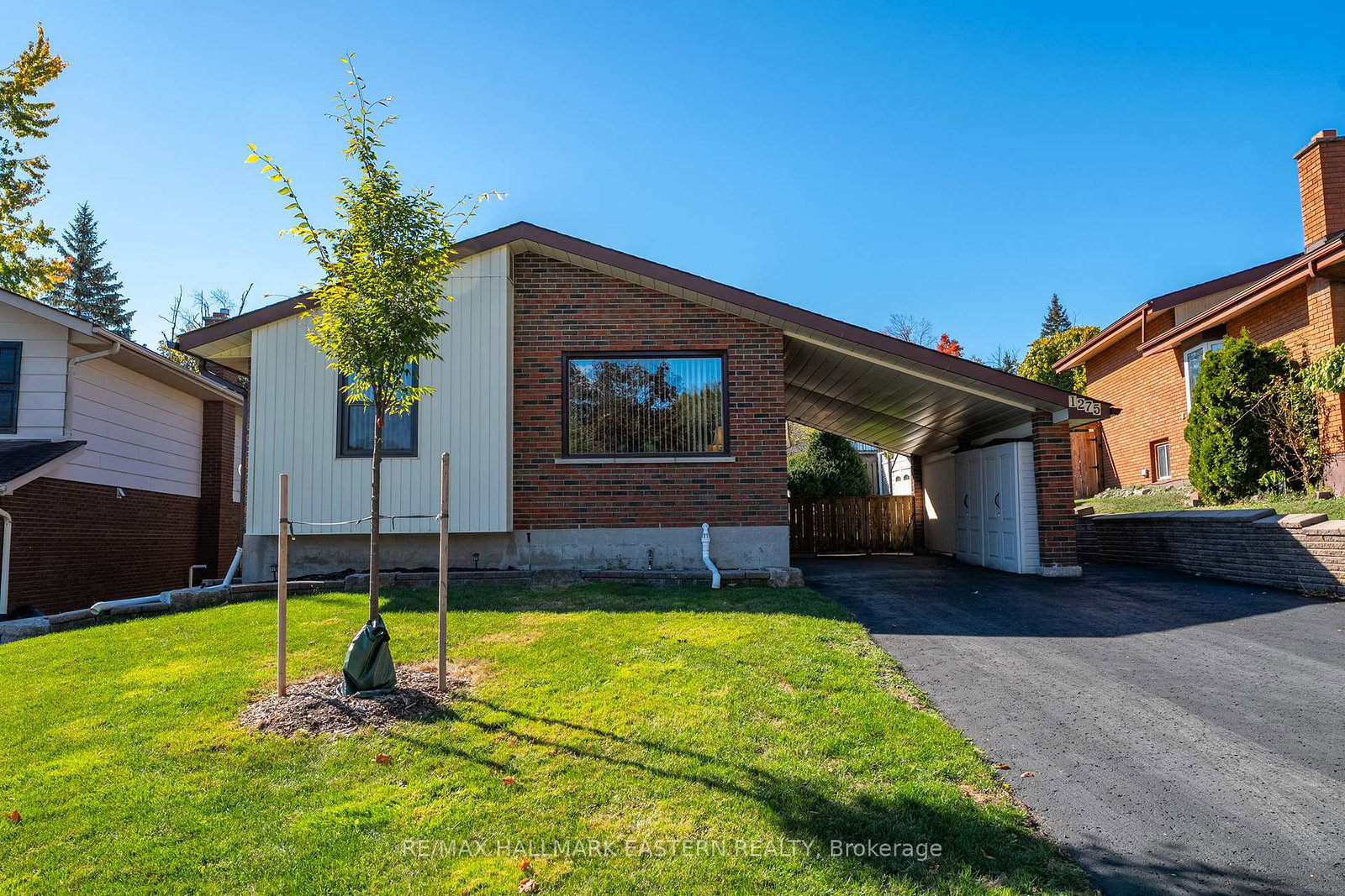 1275-hopewell-avenue-peterborough-ontario-x12469033