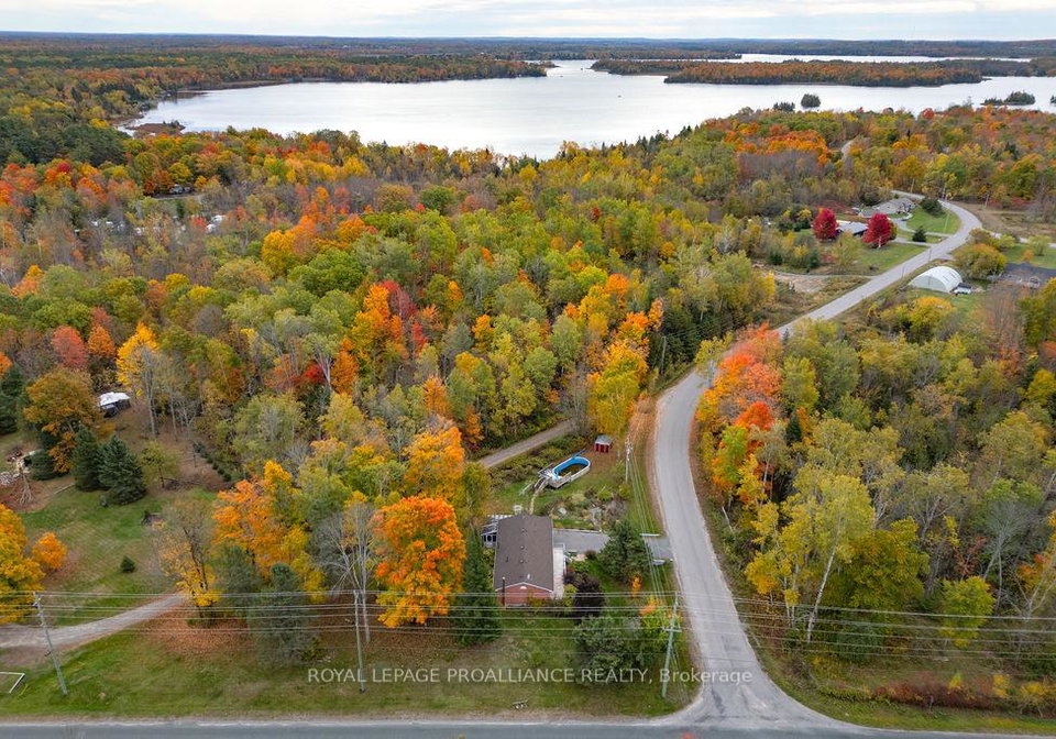 15-morningside-drive-trent-hills-ontario-x12469645