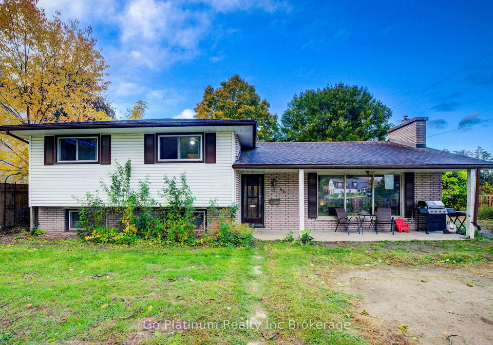 43-earle-street-tillsonburg-ontario-x12473434