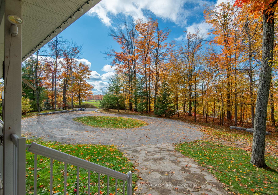 356-olivers-road-kawartha-lakes-ontario-x12475290