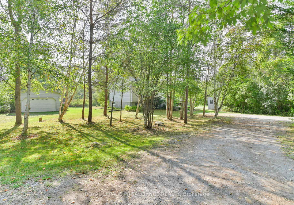 21289-loyalist-parkway-prince-edward-county-ontario-x12476447