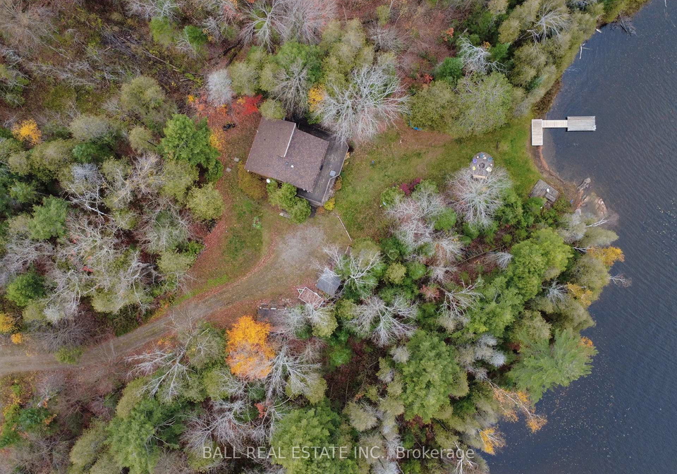 344-cedarwood-drive-trent-lakes-ontario-x12477998