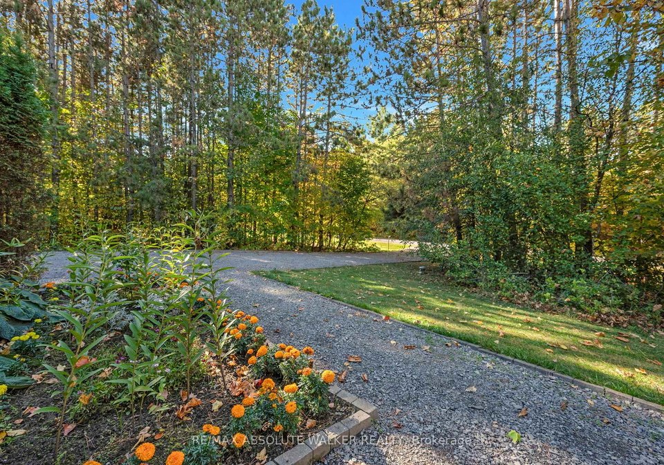 117-plantation-drive-ottawa-ontario-x12479872