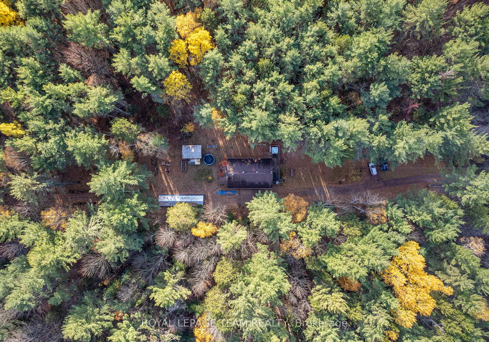 725-marsh-road-north-algona-wilberforce-ontario-x12481689