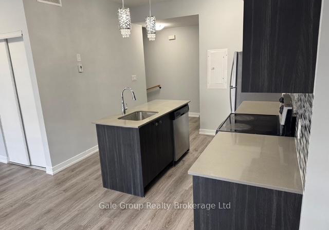 10-palace-street-kitchener-ontario-x12482119