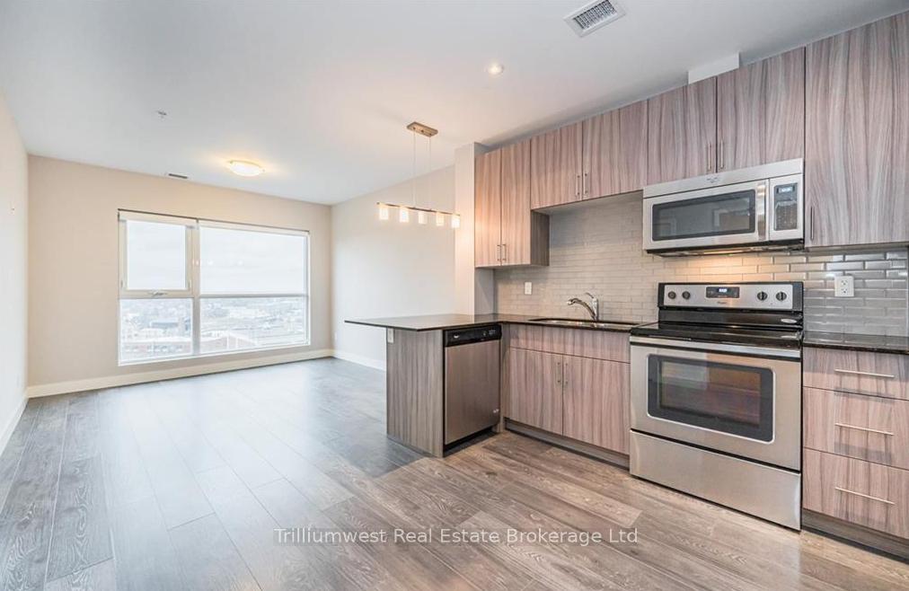 1-victoria-street-kitchener-ontario-x12486362