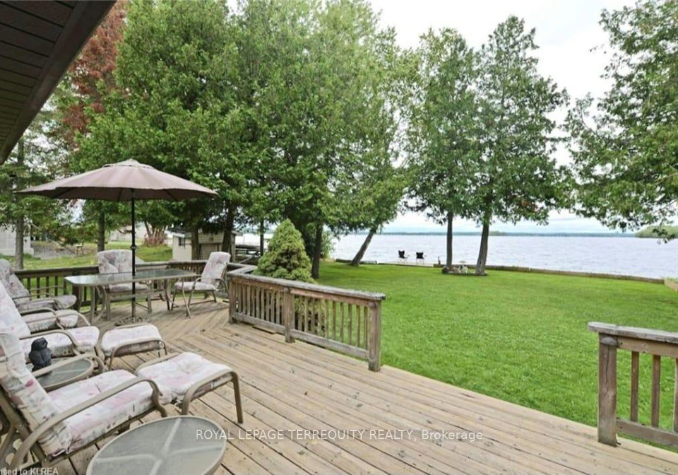 117-clifford-drive-kawartha-lakes-ontario-x12486719