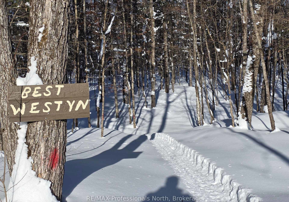 1453-minnicock-lake-road-dysart-et-al-ontario-x12490266