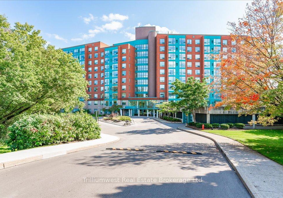 55-blue-springs-drive-waterloo-ontario-x12491386