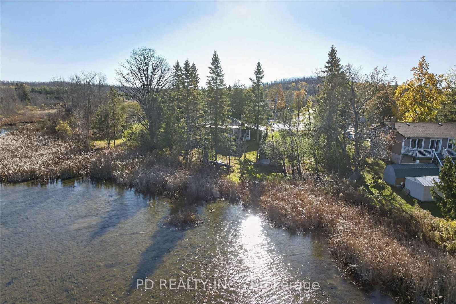 54-carlton-crescent-kawartha-lakes-ontario-x12511588