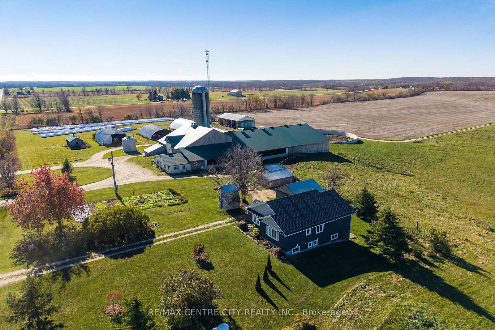595224-4th-line-blue-mountains-ontario-x12516442