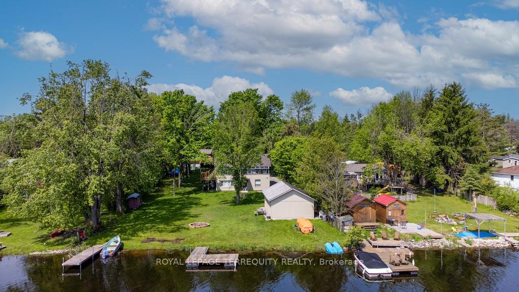 31-alpine-street-kawartha-lakes-ontario-x12516744