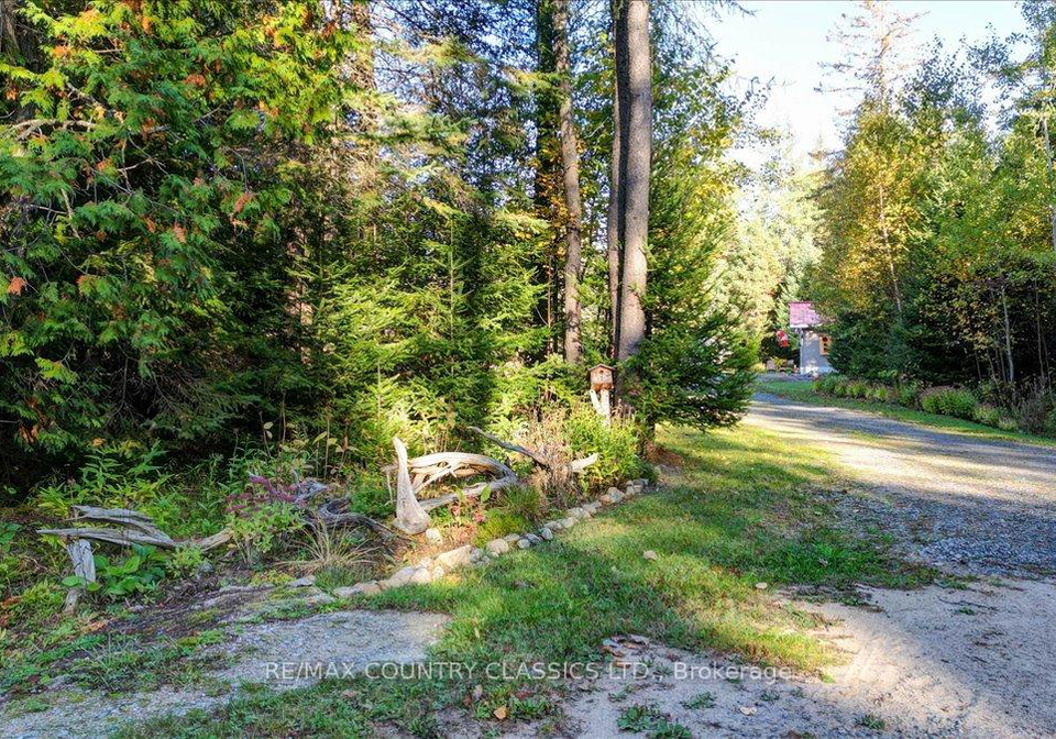 1689-graphite-road-hastings-highlands-ontario-x12521072