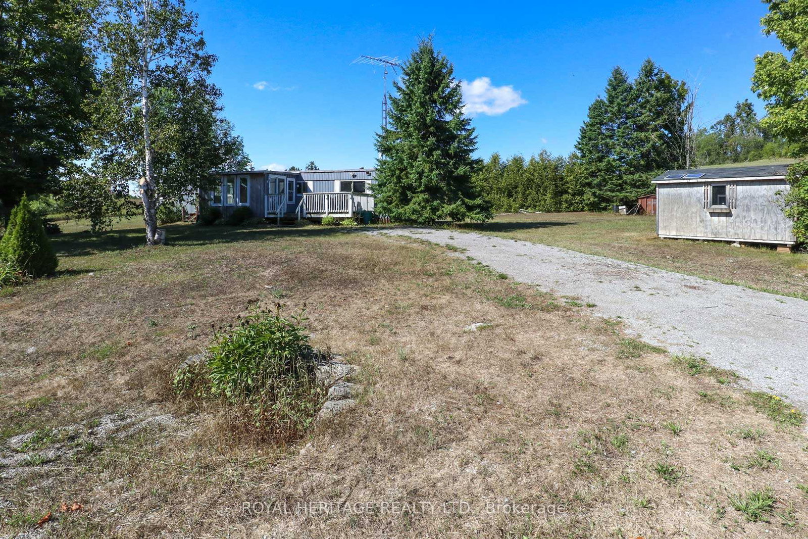 161-devitts-road-kawartha-lakes-ontario-x12521290