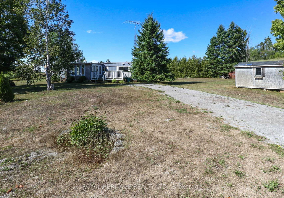 161-devitts-road-kawartha-lakes-ontario-x12521290