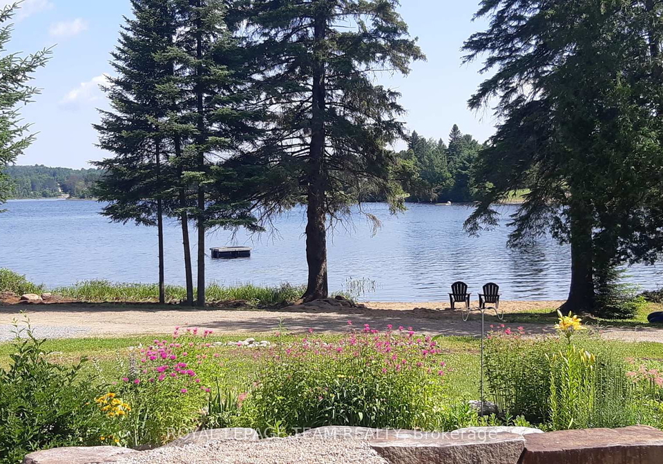 21-dave-bowers-lane-south-algonquin-ontario-x12524824
