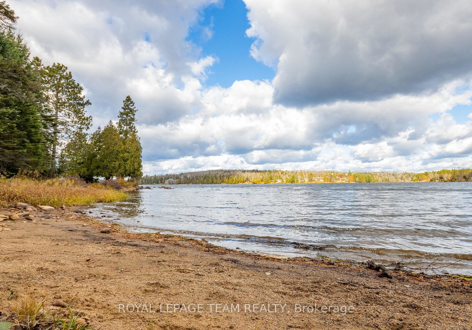 21-dave-bowers-lane-south-algonquin-ontario-x12524824