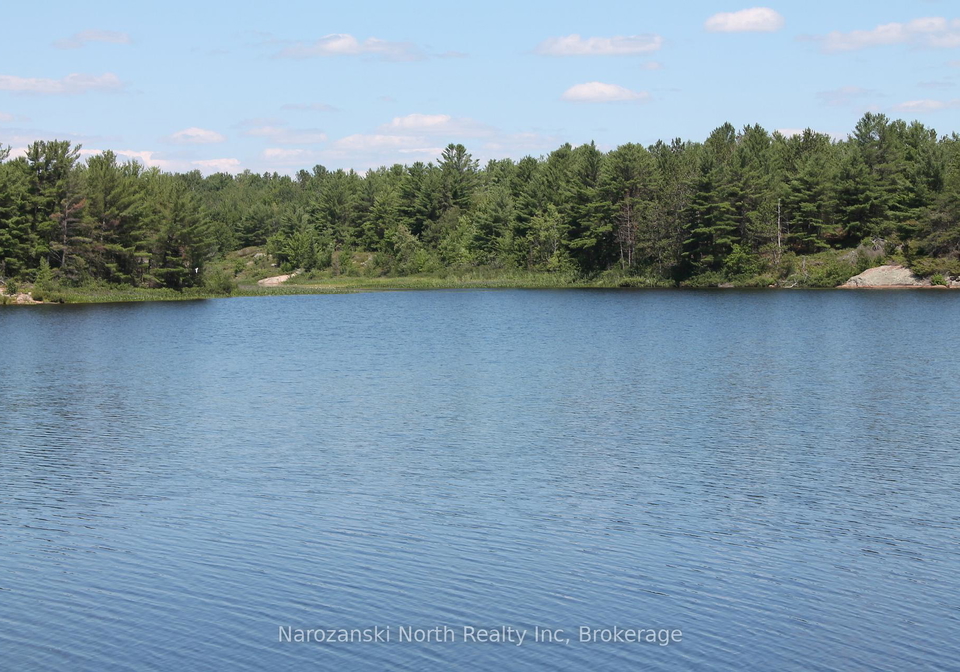 556-hartley-bay-road-killarney-ontario-x12529968