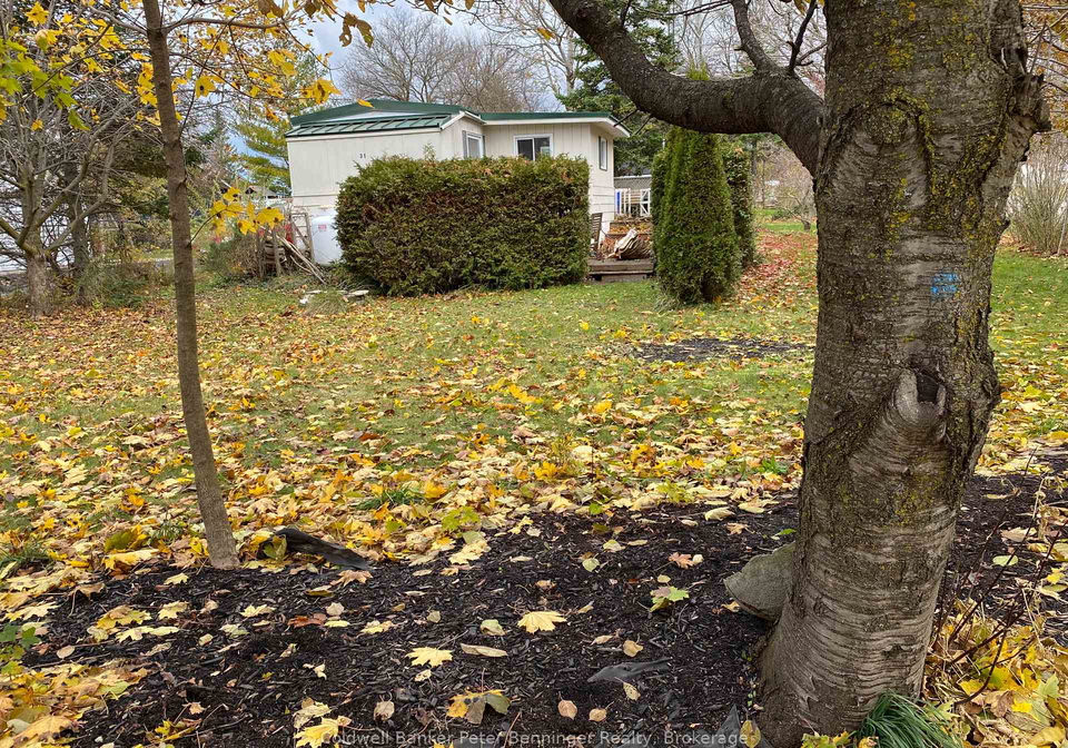 31-webster-street-kincardine-ontario-x12539562