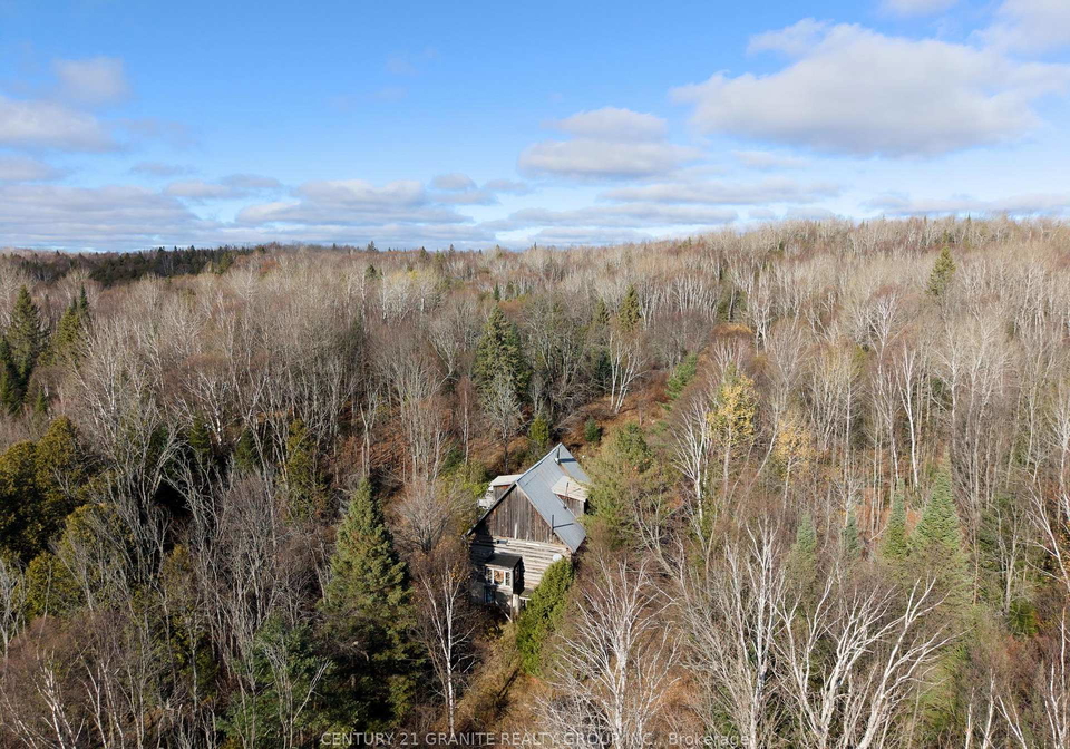790-mcdonald-mine-road-hastings-highlands-ontario-x12544326