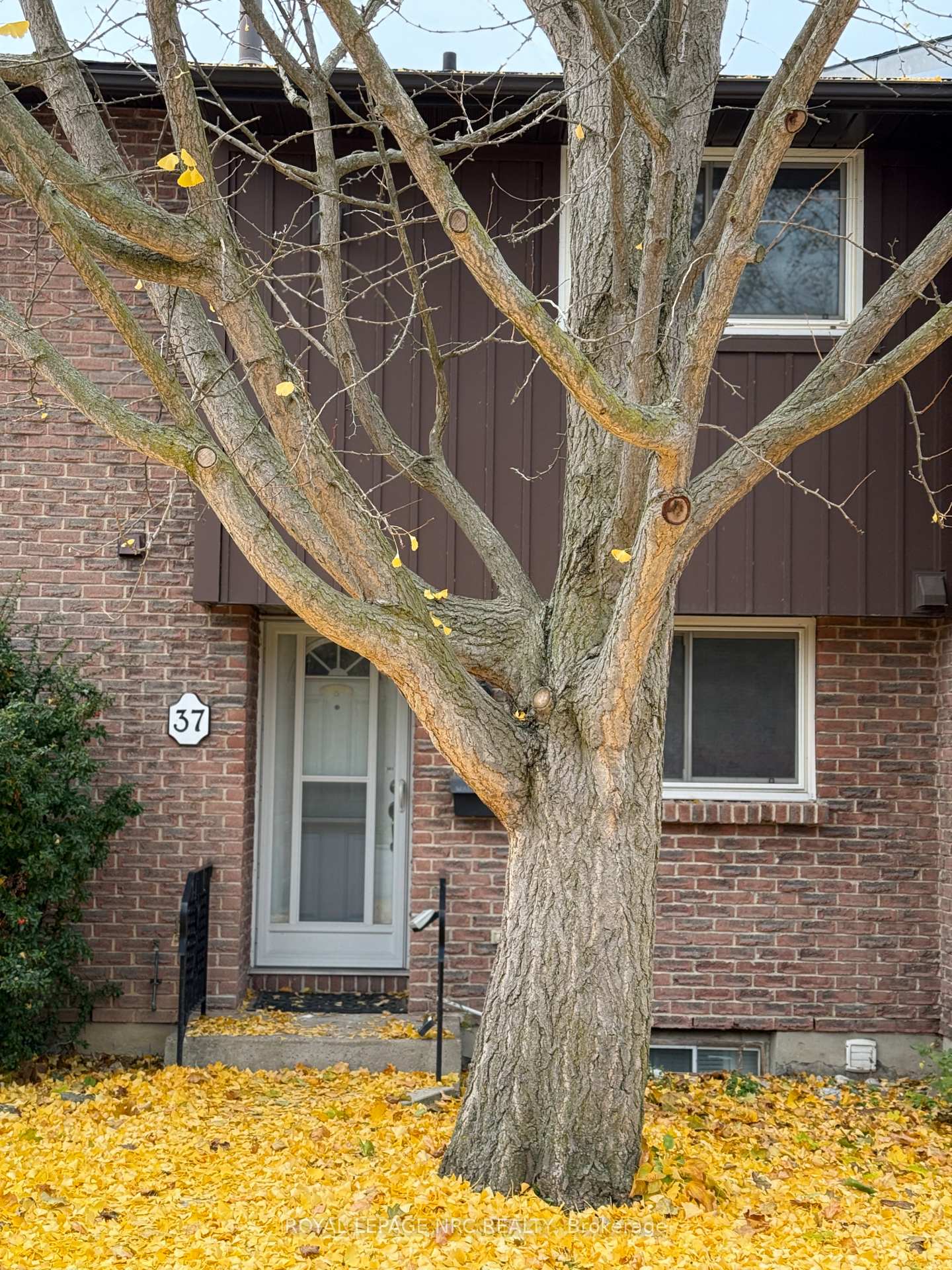 151-linwell-road-st-catharines-ontario-x12553484