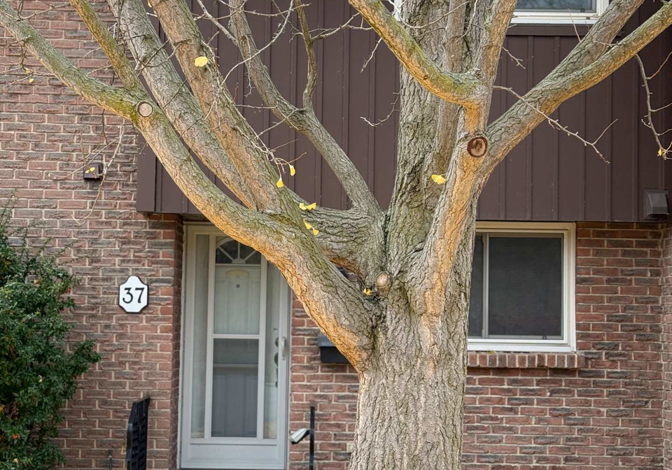 151-linwell-road-st-catharines-ontario-x12553484