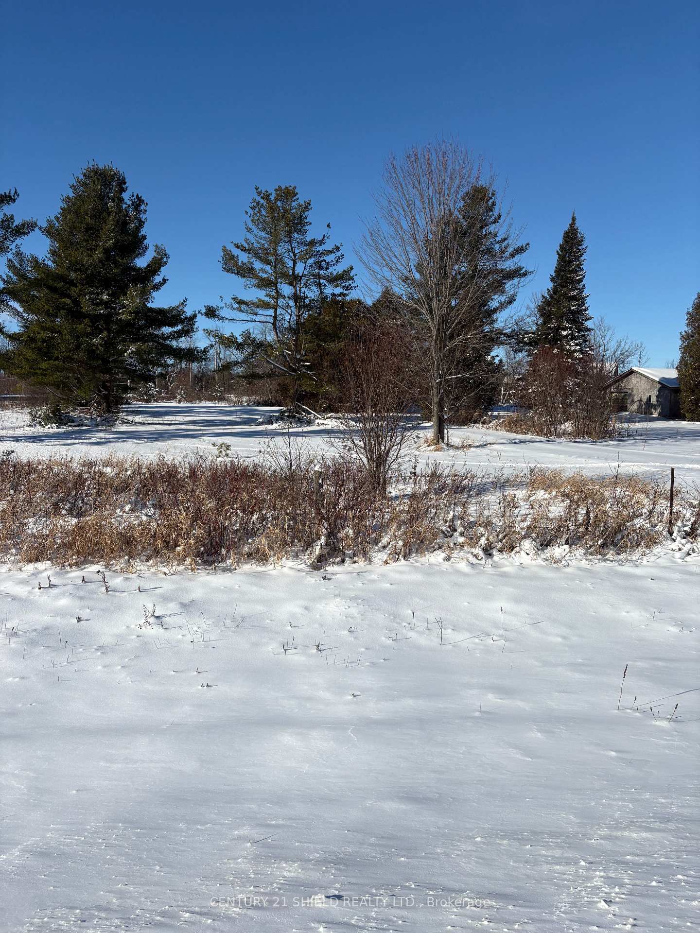 15557-dixon-road-south-stormont-ontario-x12554682