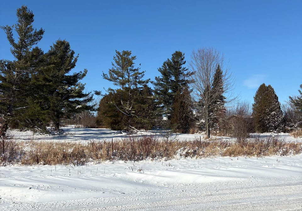 15557-dixon-road-south-stormont-ontario-x12554682